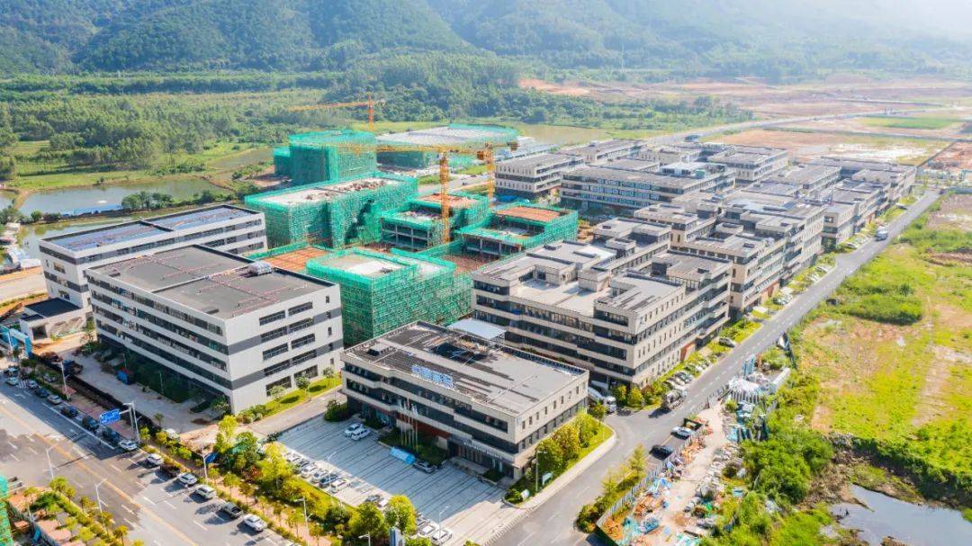 肇庆市发改局：加快打造大产业、大平台、大项目｜聚焦高质量发展_建设_工作_经济