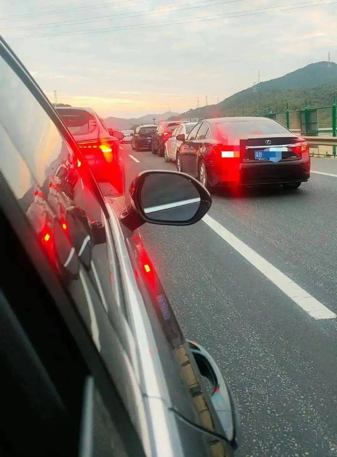 堵车男子在高速上与公鸡打架!_奇象网