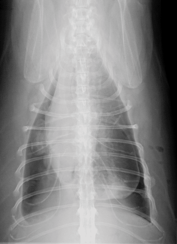 Ȯè��ǻ��Һ�ͷ�ˮ�׵ķ�����ϣ���ˮ�׵�X�����˼�� ...