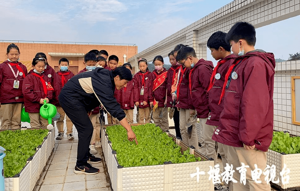 中學學生包餃子▲竹山縣寶豐鎮曹家灣小學學生在