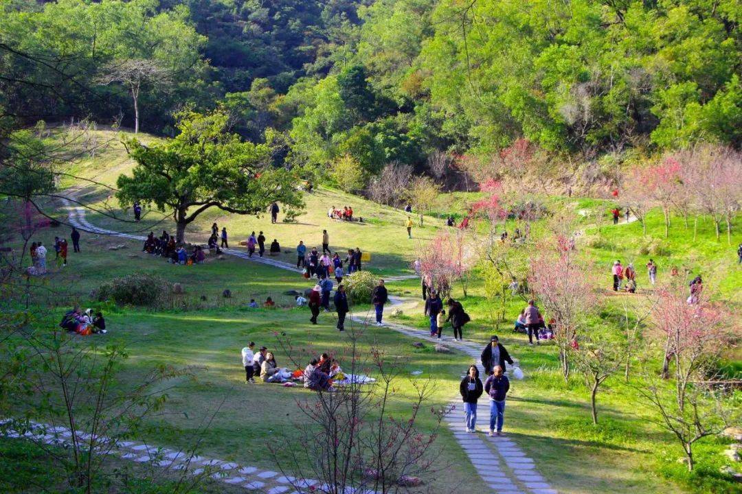 鳌峰山丛林公园樱花园百花盛放！太美了···