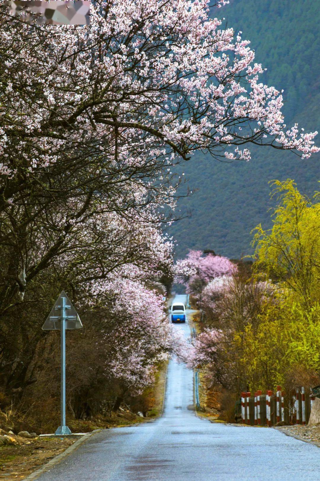 春天的第一次公路旅行 搜狐网