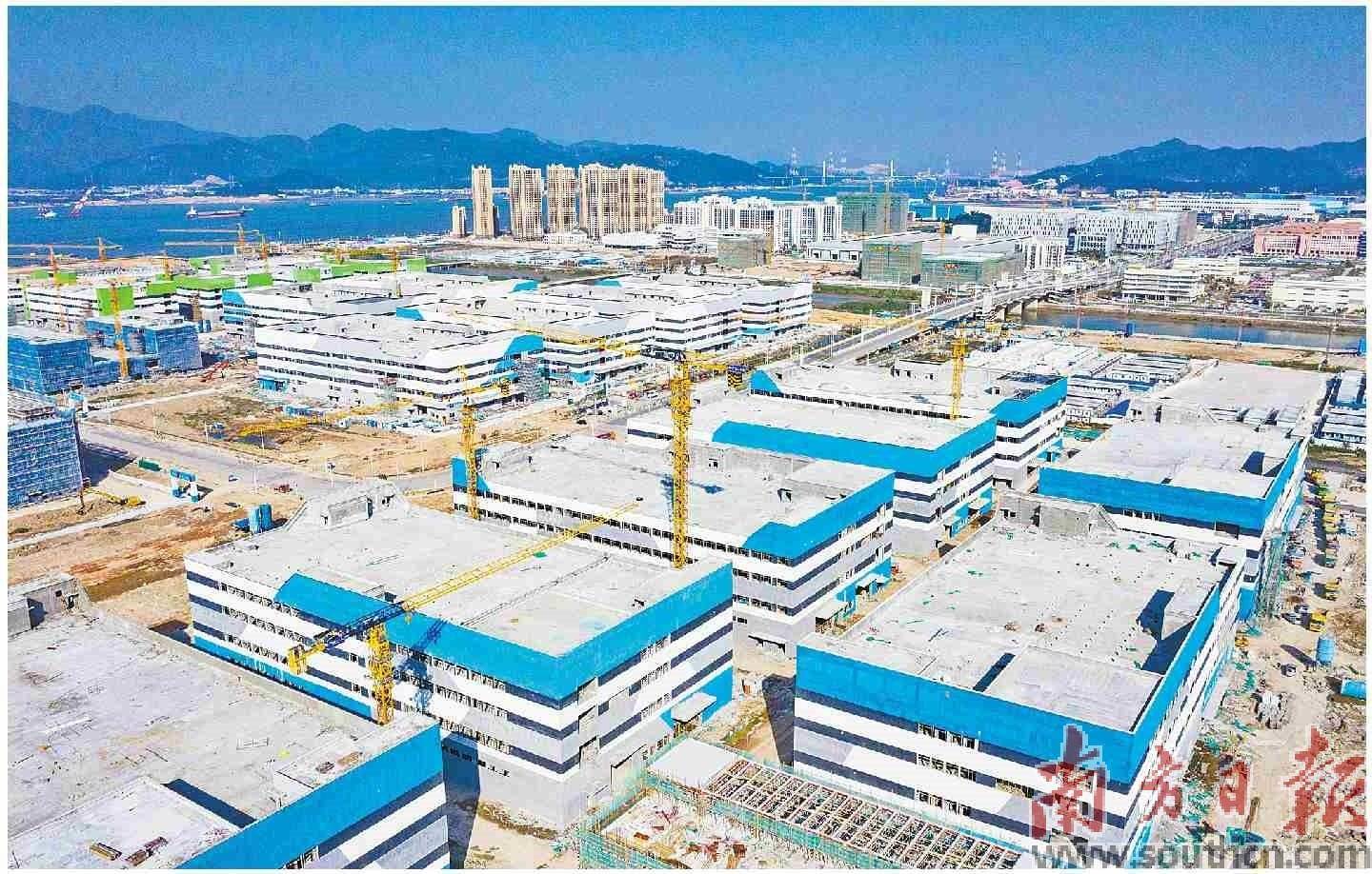 铆足干劲誓夺高质量发展“开门红”_建设_项目_广州