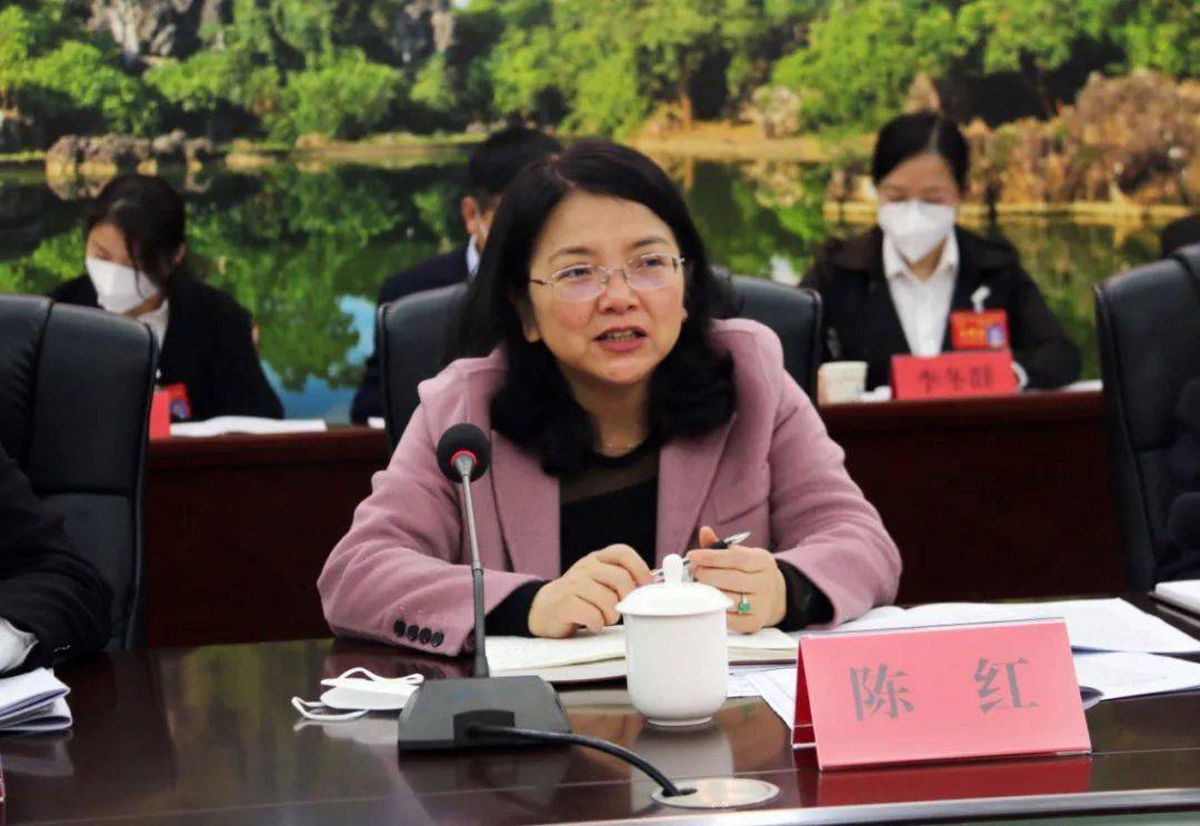 江州区代表团讨论审议市政府工作报告_发展_建设_经济