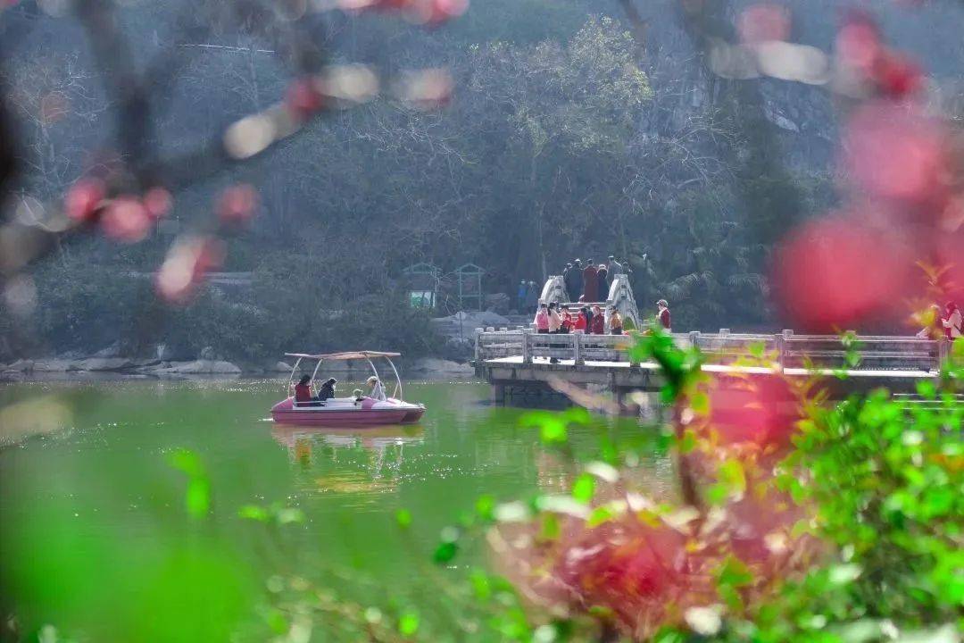 桂林市西山公园： 西湖红梅映春色