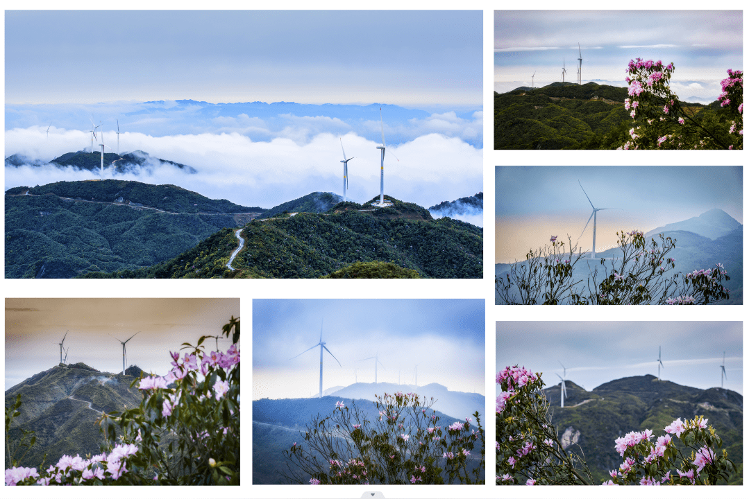 《塔峰乐万家 》作者:罗志忠《梅西荷花醉游人(组照)》组图作者:丘先