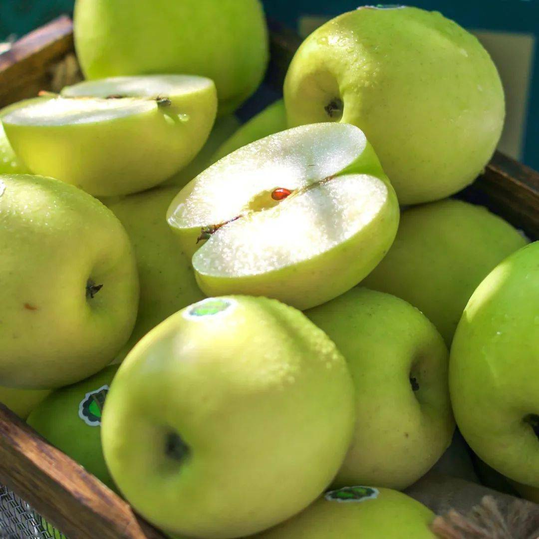 耗费20年研发瑞雪苹果,脆甜爆汁,红富士瞬间没味了!_国货_种植