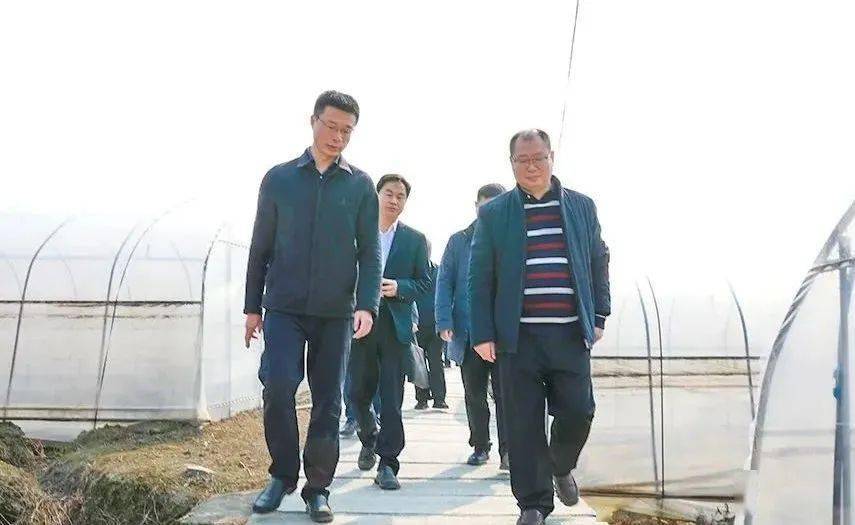 张红兵到龙坪镇、三岔镇调研春耕备耕工作_搜狐网
