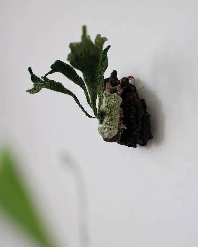 她以刺绣,捕捉稍纵即逝的自然_kiinii_植物_徐曼芸