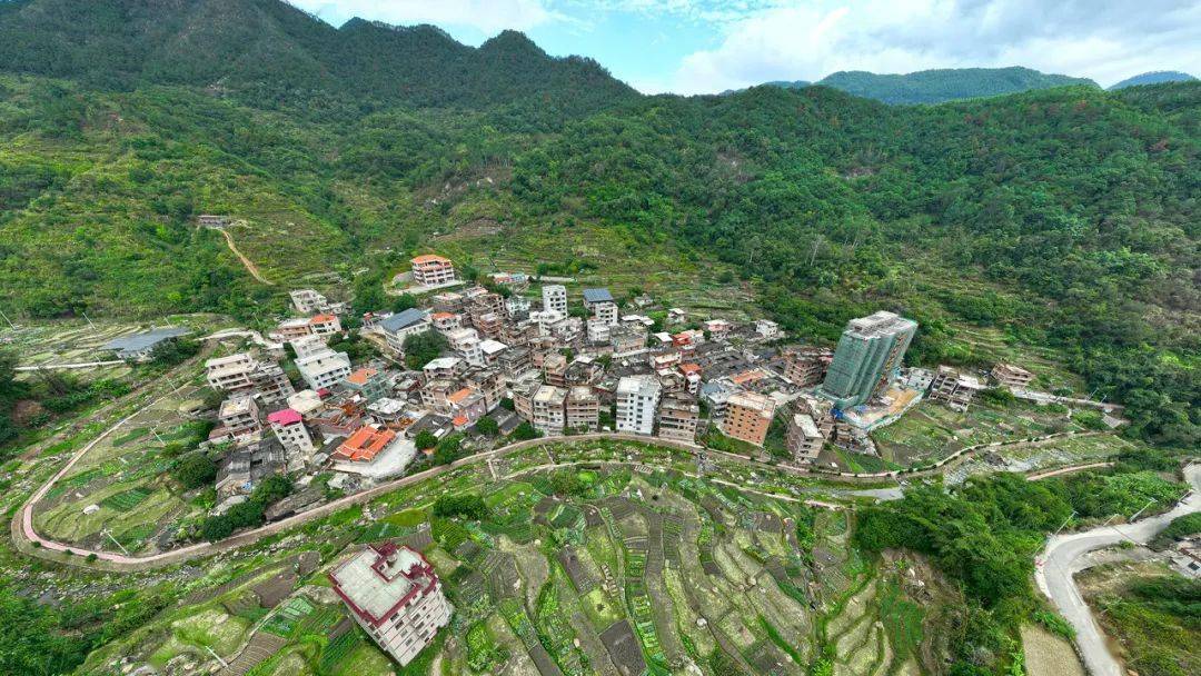 【喜讯】翔云镇头梅村获南安市"乡村振兴"先进集体称号_英都_建设_金