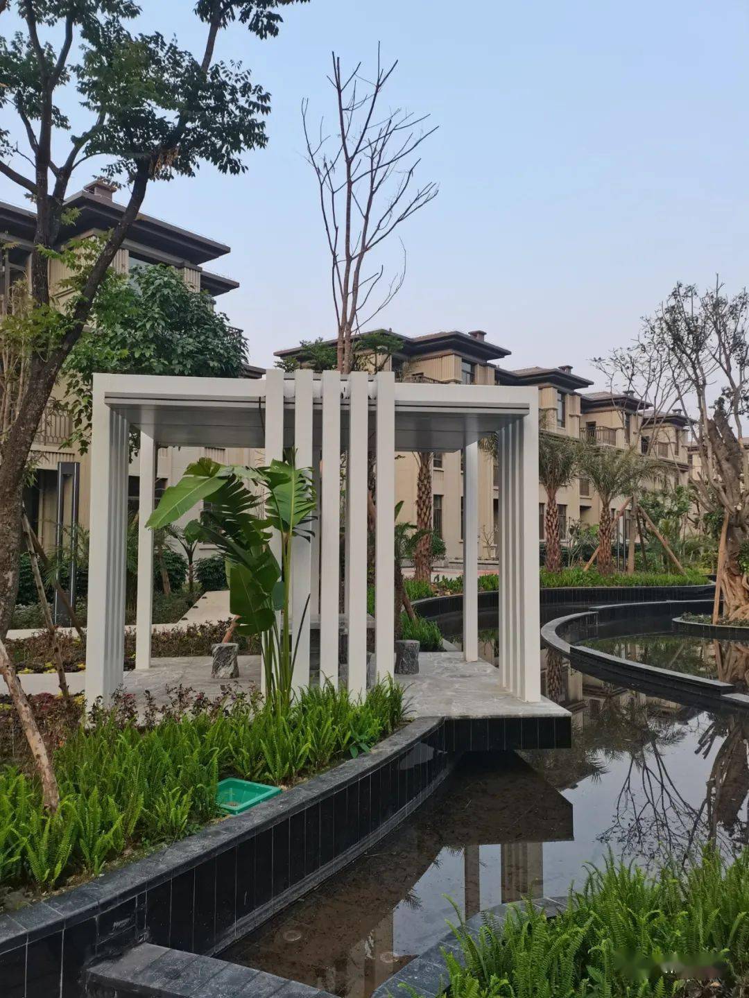 丽景园 | 春来归心至,欢喜闹元宵!_活动_生活_小区