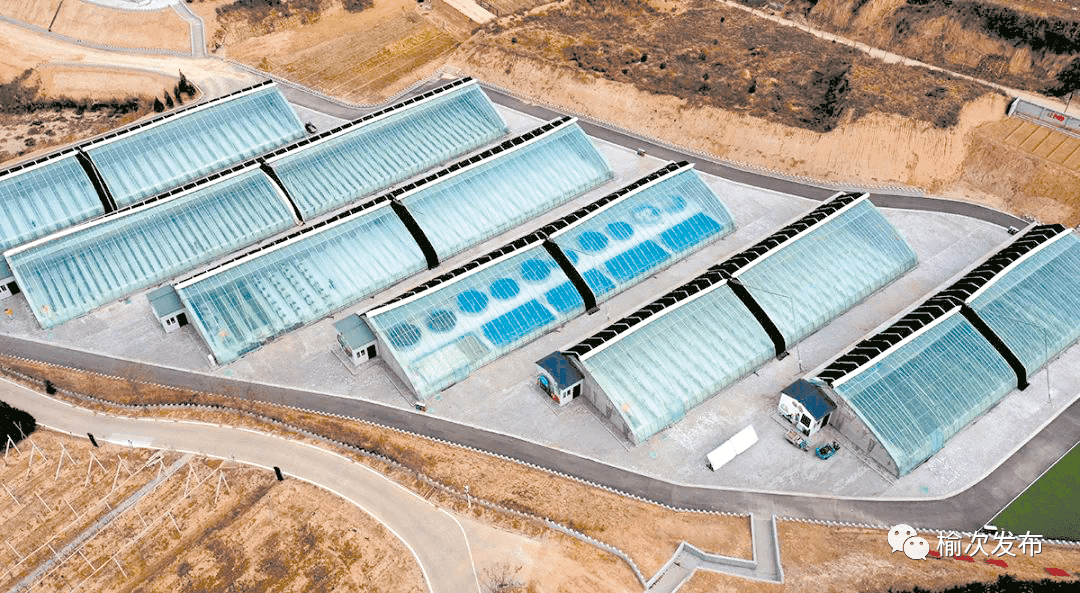 建设都市现代农业高地 加快推进乡村振兴战略——2022年全区农业农村工作综述_项目_示范