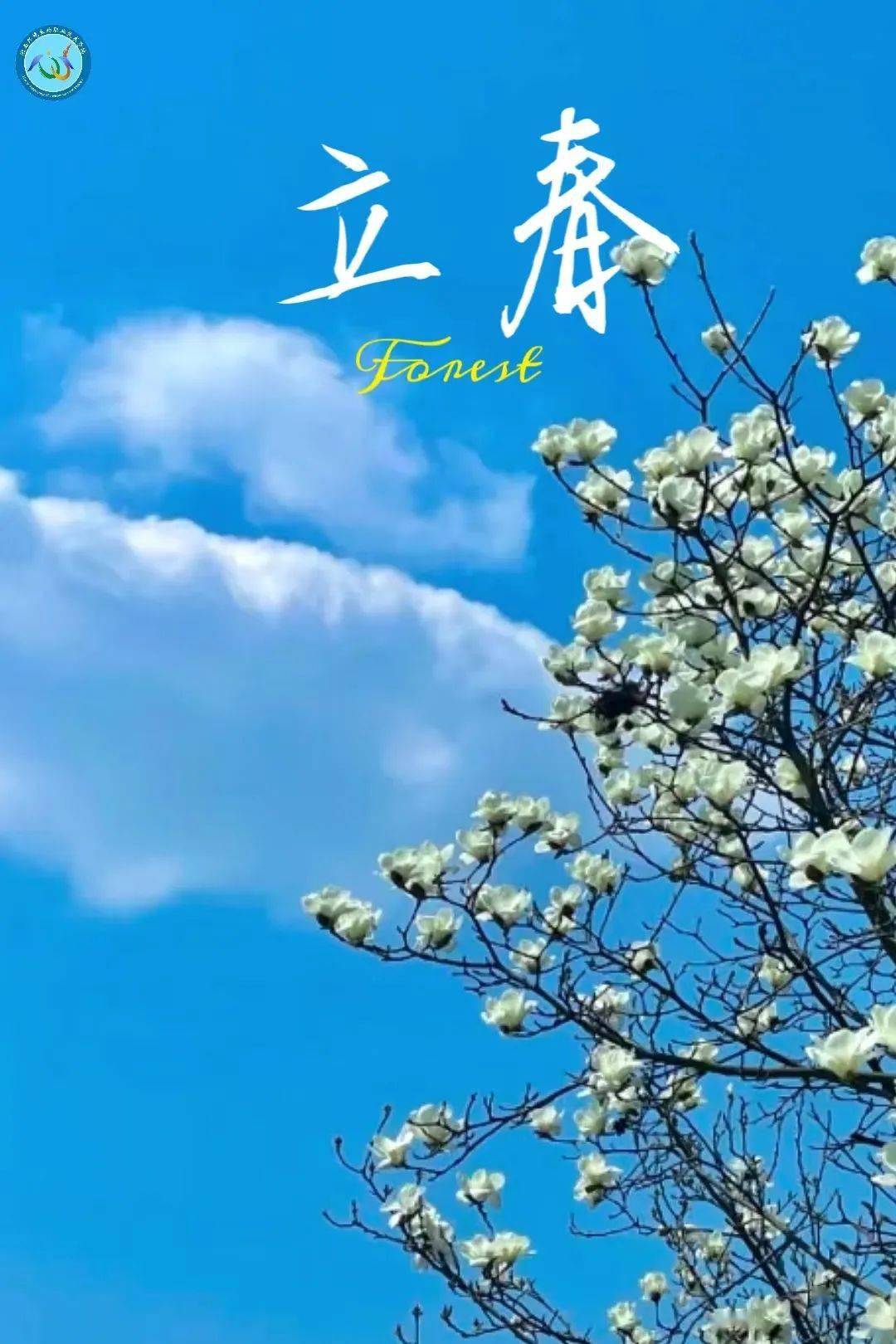 你好 春天_李玲_文案_生物