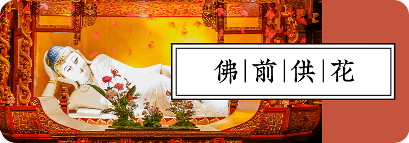 佛前供花丨元宵佳节金玉满堂，见者有福_供养_山花_寓意