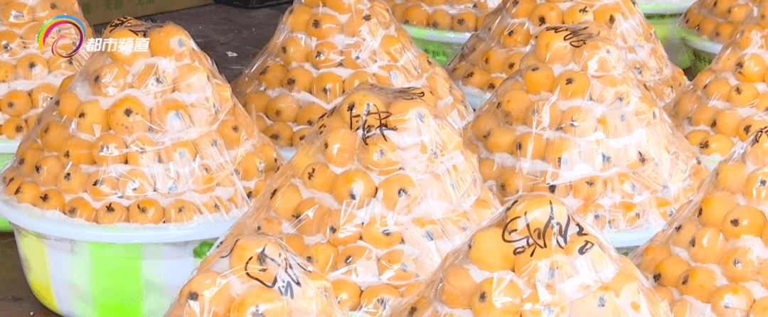 现在市场上枇杷多少钱一斤
