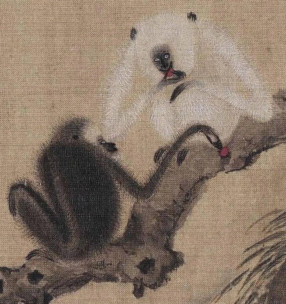 猿猴_作品_古代