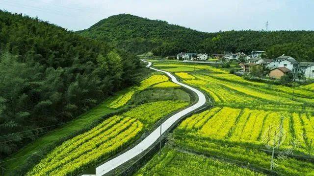 赤壁市_道路_乡村