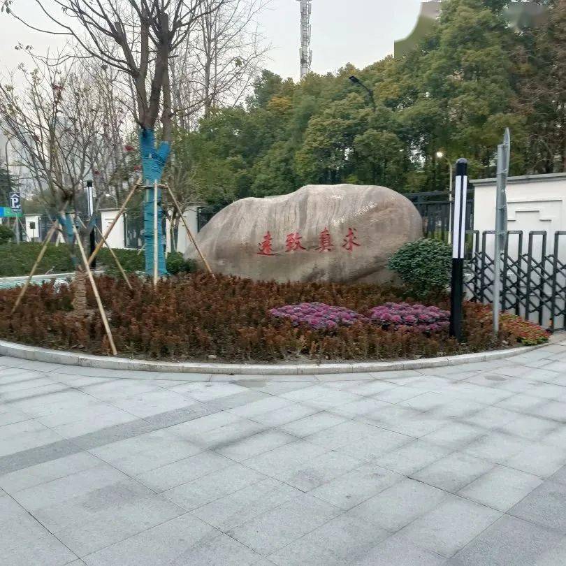 被誉为大美的中式园林学校,今天开校!_西兴_空间_校园