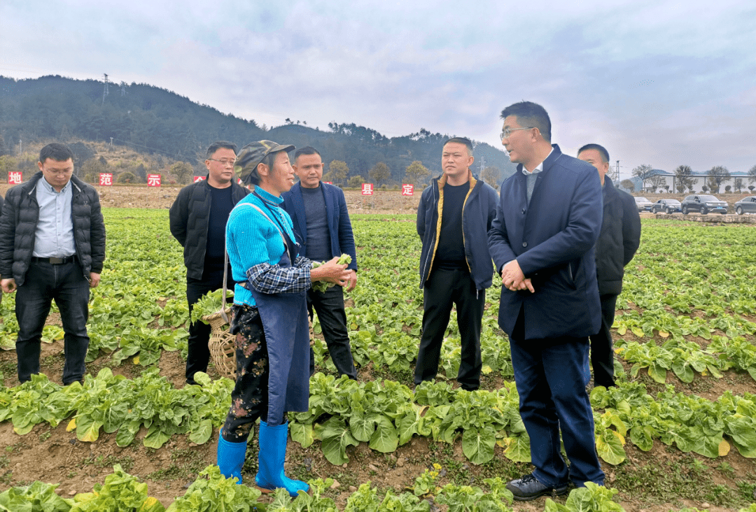 杨再军到贵定县调研产业发展及春耕备耕工作_种植_生产_农业知识