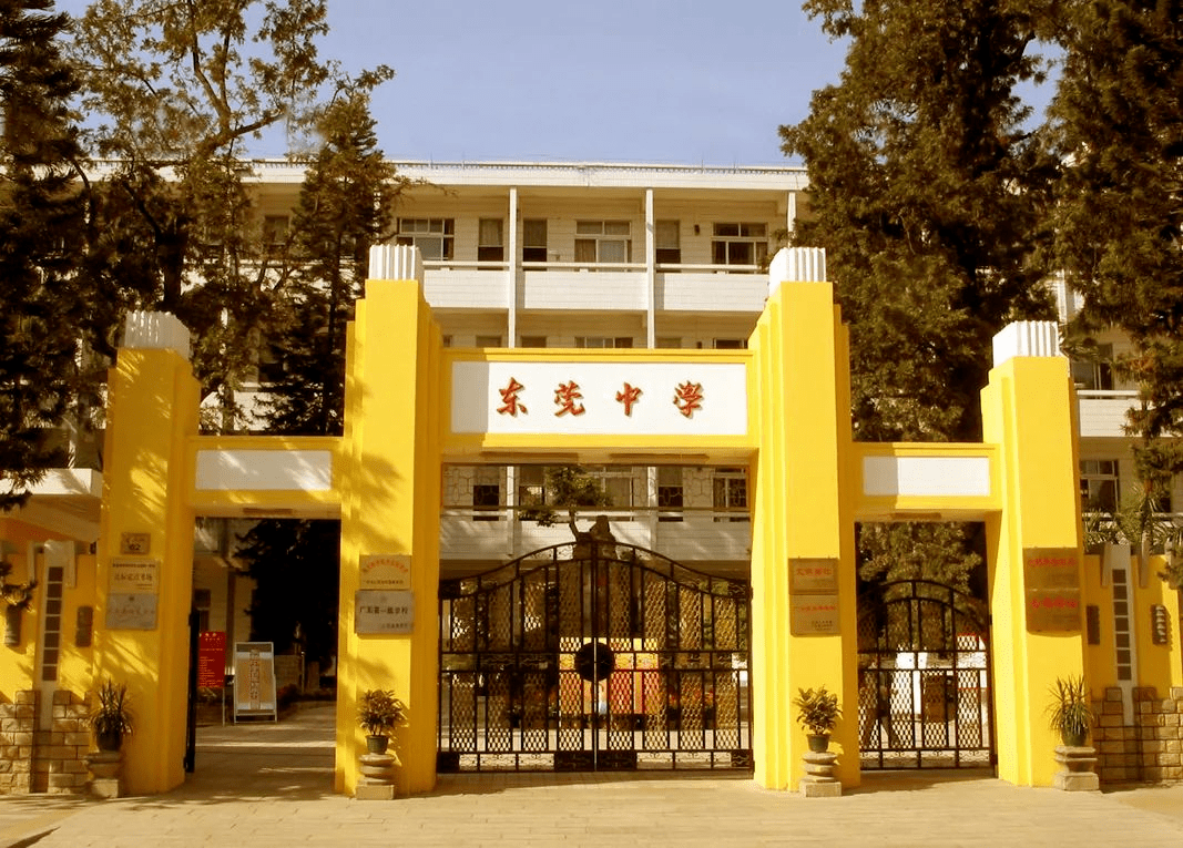 东莞中学录取分数线最新数据分析
