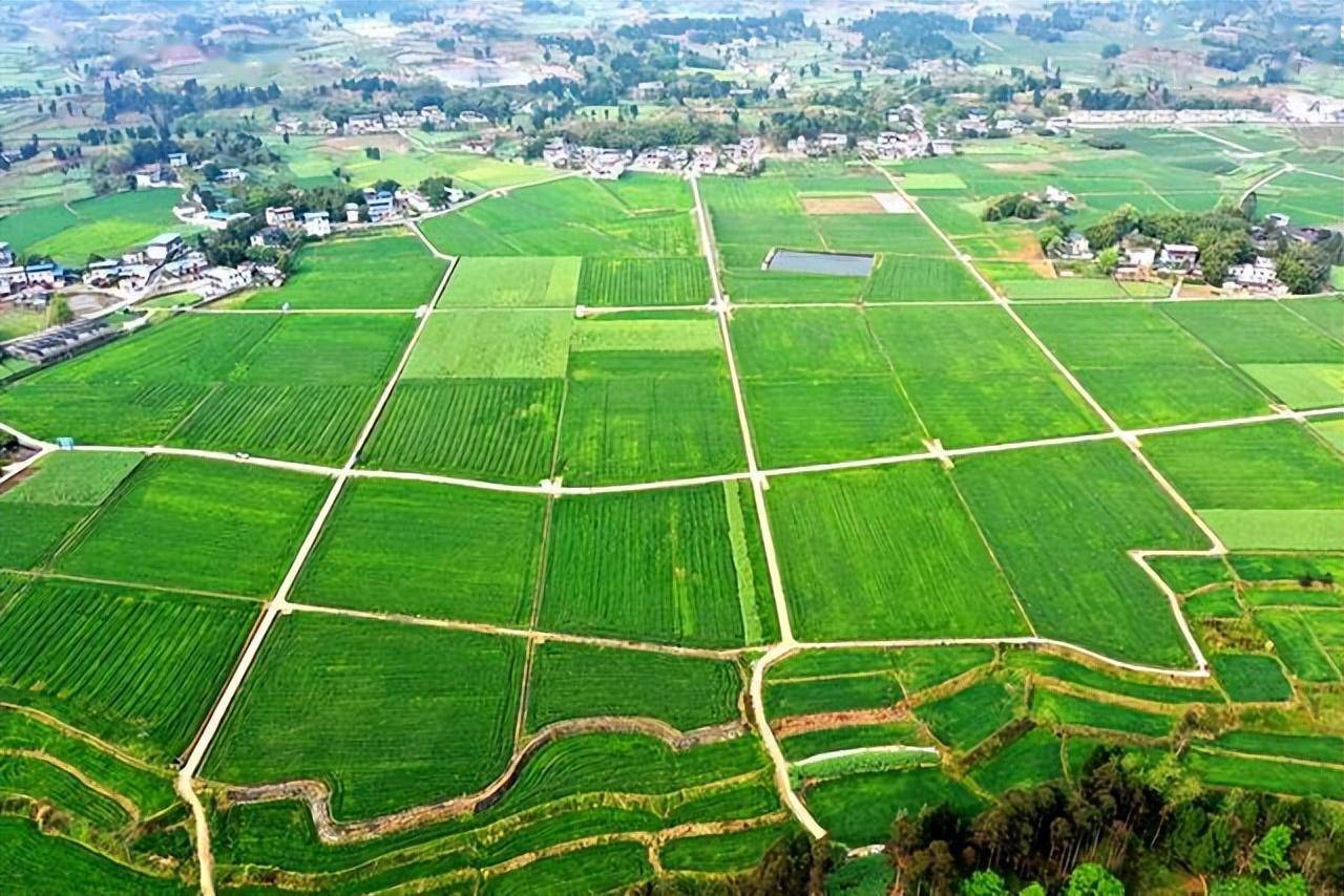 今天集中开工的这些重大项目,你最关注哪些?_建设_配套_浮梁县