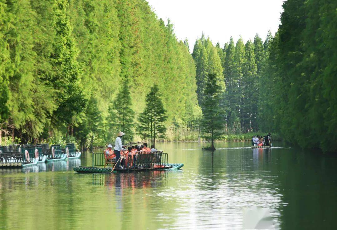 金湖景点图片