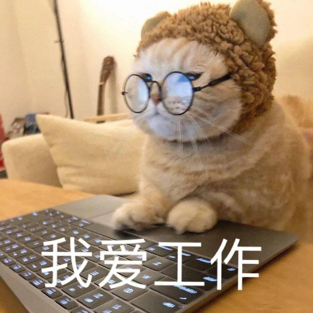 今日表情包丨没人会等你,除非老天爷