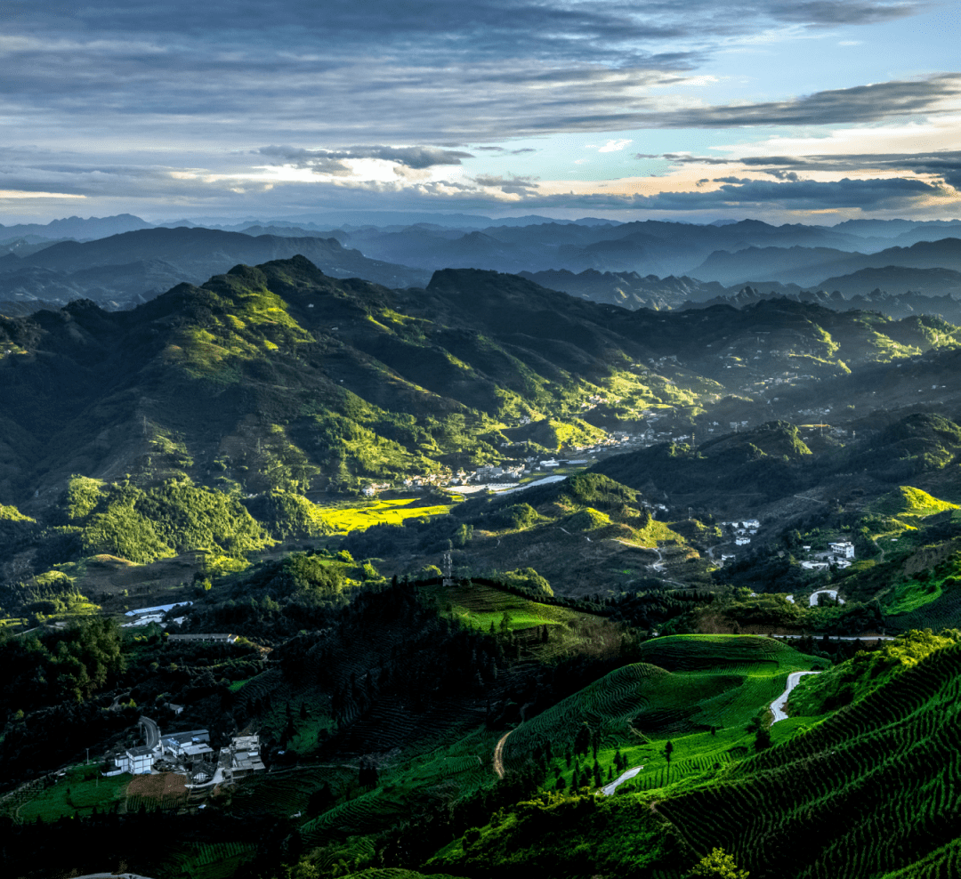 這個春天來宜賓赴一場早茶之旅吧!_景區_珙縣_旅遊