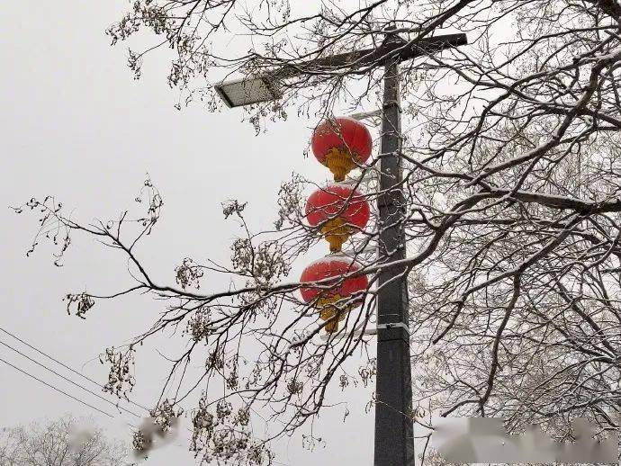 北京的雪，都下到哪了？