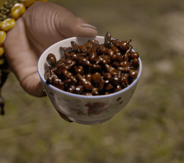 "跟着丁真探乡村"海报发布!