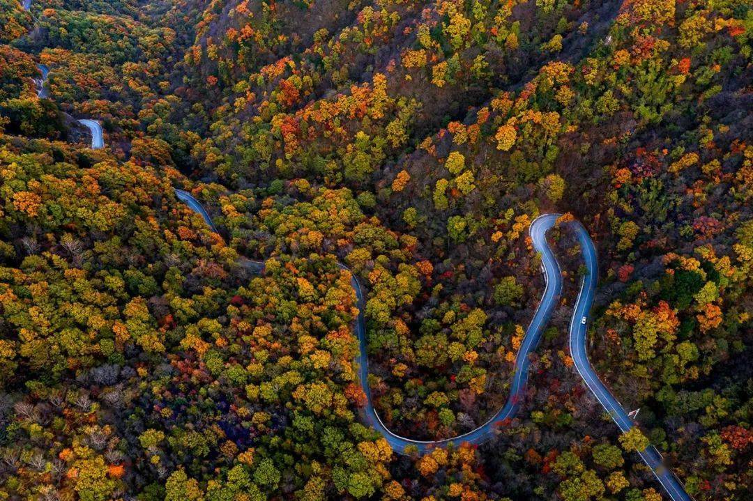 陕南三市"践行二十大 奋进新征程"主题摄影展——商洛篇_乡村_安康市_