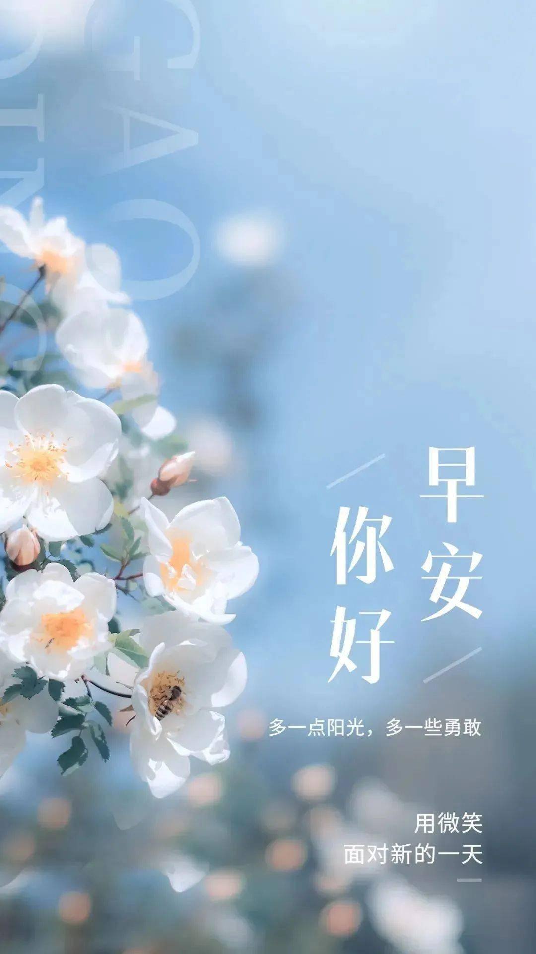 13早安|周一好状态一句话致你!_生活_时间_梦想