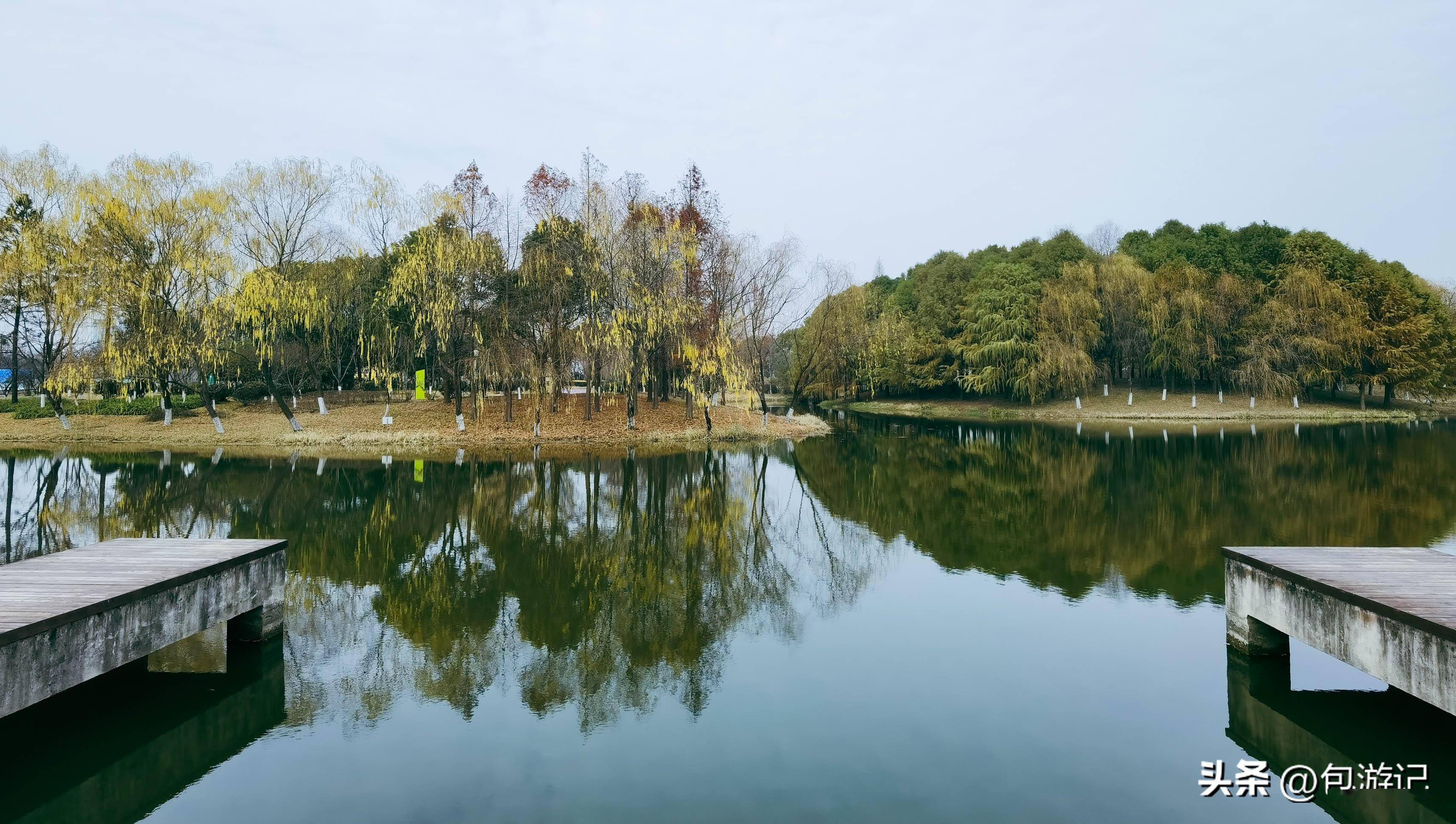 无锡的湿地公园图片