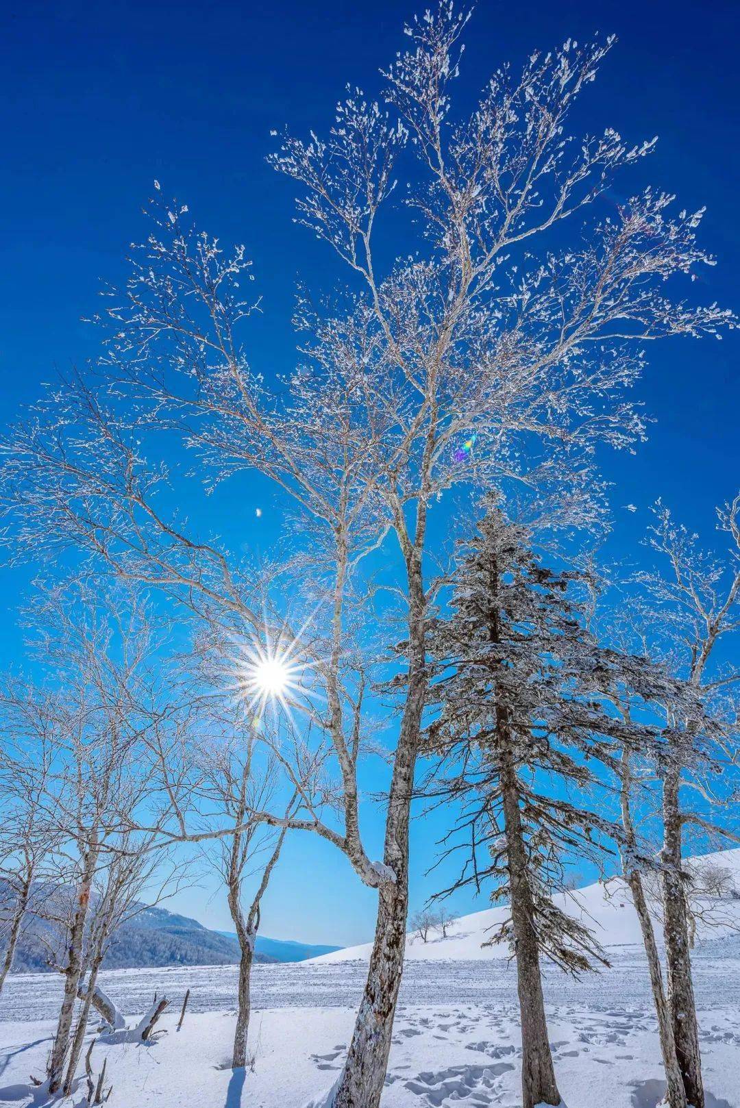 龙江人的冬季浪漫:穿林海,跨雪原,登龙江第一高峰——大秃顶子山_幸福