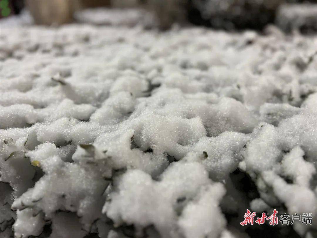 今天降雪持续！甘肃多地发布暴雪+道路结冰双预警！最新路况→