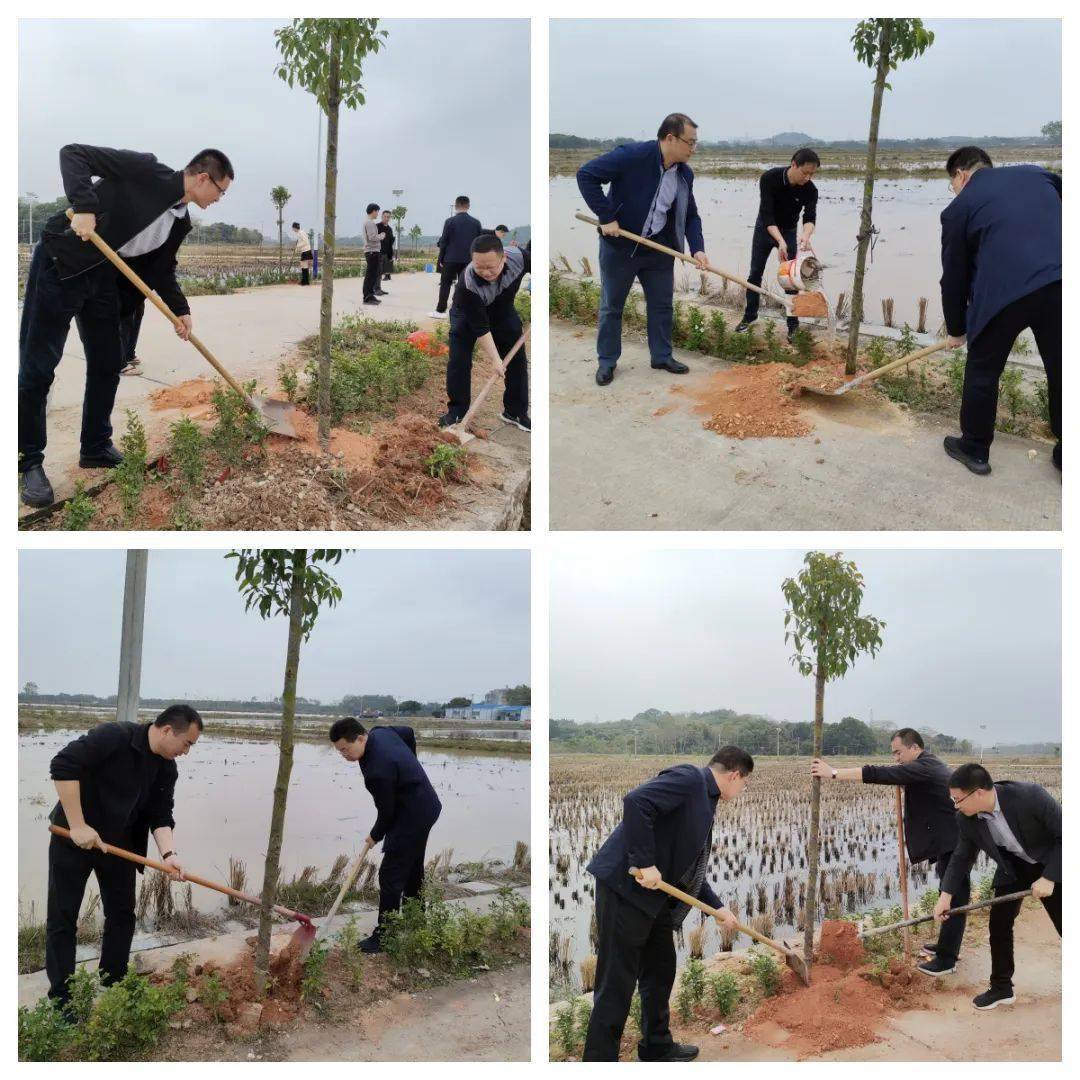 普宁市赤岗镇西林村图片