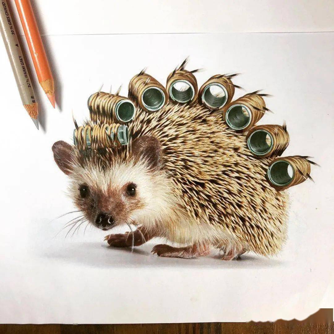 充满创意的彩铅手绘 画的很细腻_版权_网络_作品