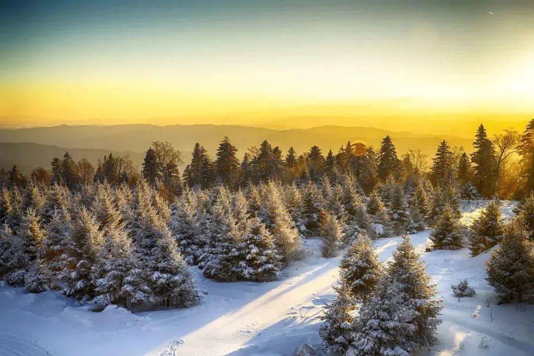 吉林的春雪仙境，你感受到了吗？探秘冰雪浪漫与温暖交织的二月之旅雪舞春光，吉林等你共绘冬春之恋
