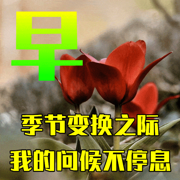 2月16日早上好祝福语图片大全,问候动态表情图片大全!_生活_平安_岁月