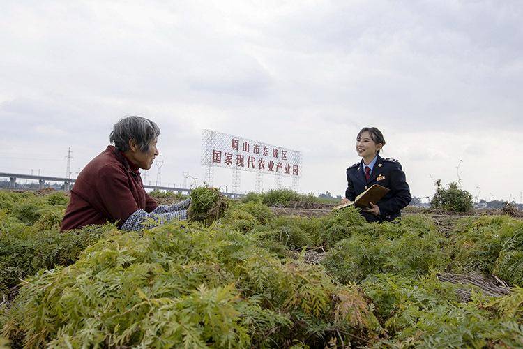 四川税务聚焦春耕消费 绘就村落复兴灿艳画卷