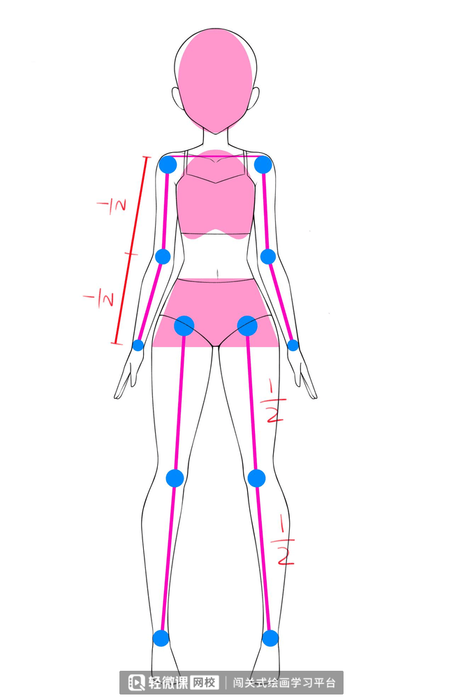 怎么画好动漫人体?二次元动漫人体教程!