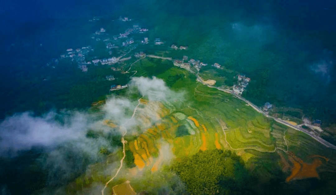 接下来的杭州堪称国内旅游浪漫天花板，景区免费游，错过不再有！