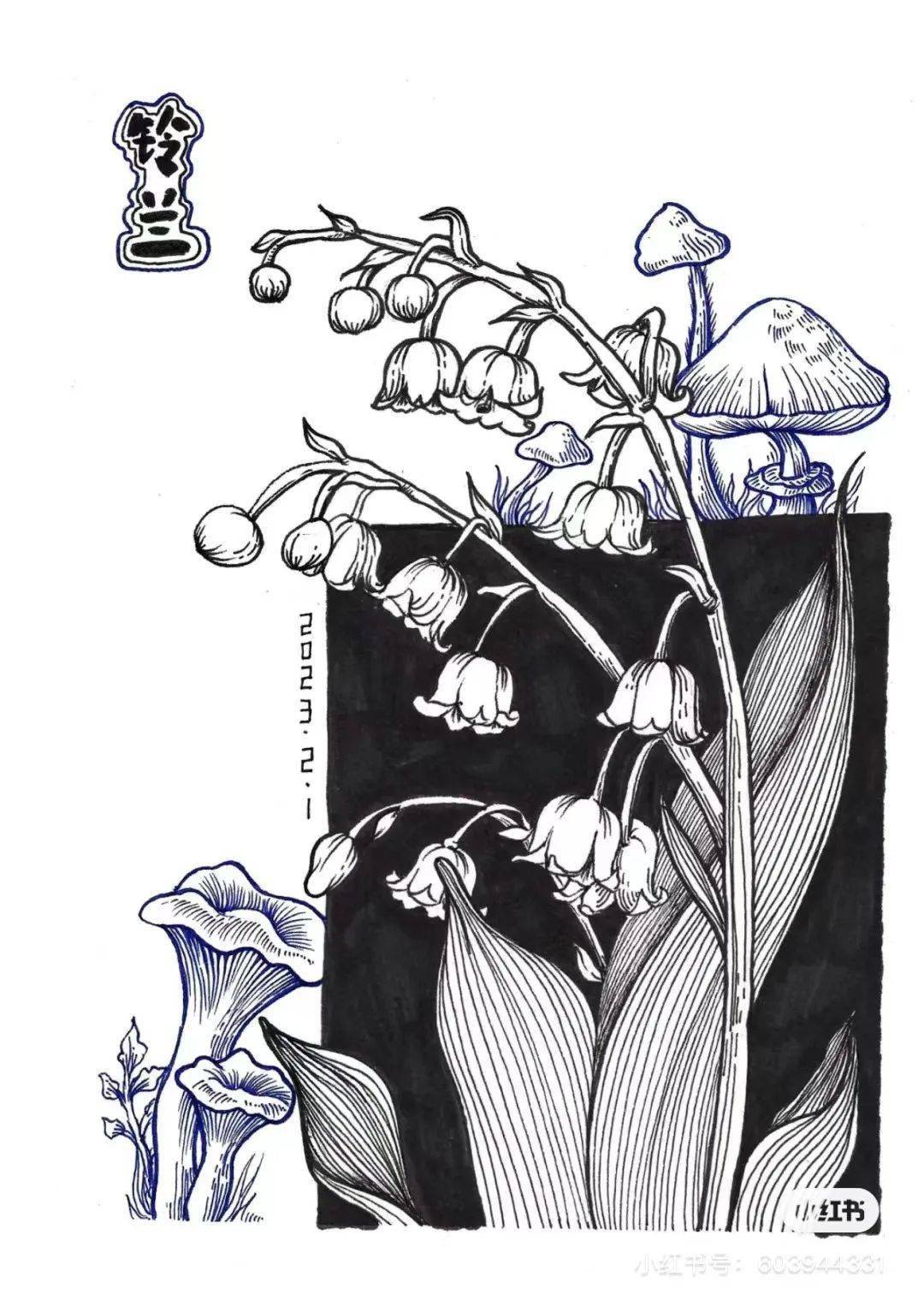 (适合10 岁创意美术手绘线描插画)《铃兰花》针管笔:日本三菱,樱花牌