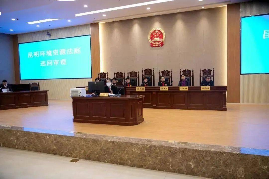 最终获刑_镇雄县_张某某_保护