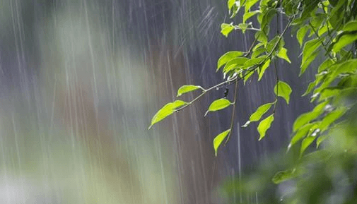 春雨如丝|薛其华_人们_文学_网站