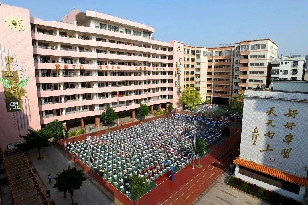 高州这个小学教育集团入选!