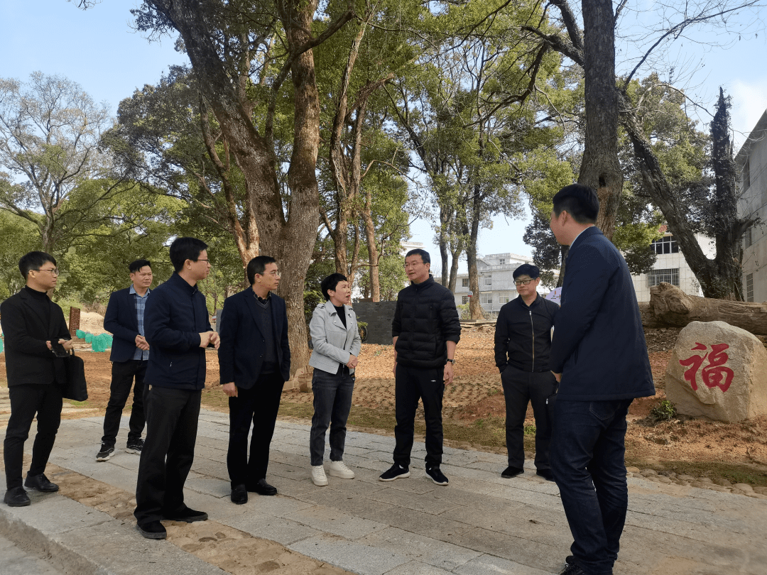 张小川深入丰山乡开展调研_建设_农田_石城县