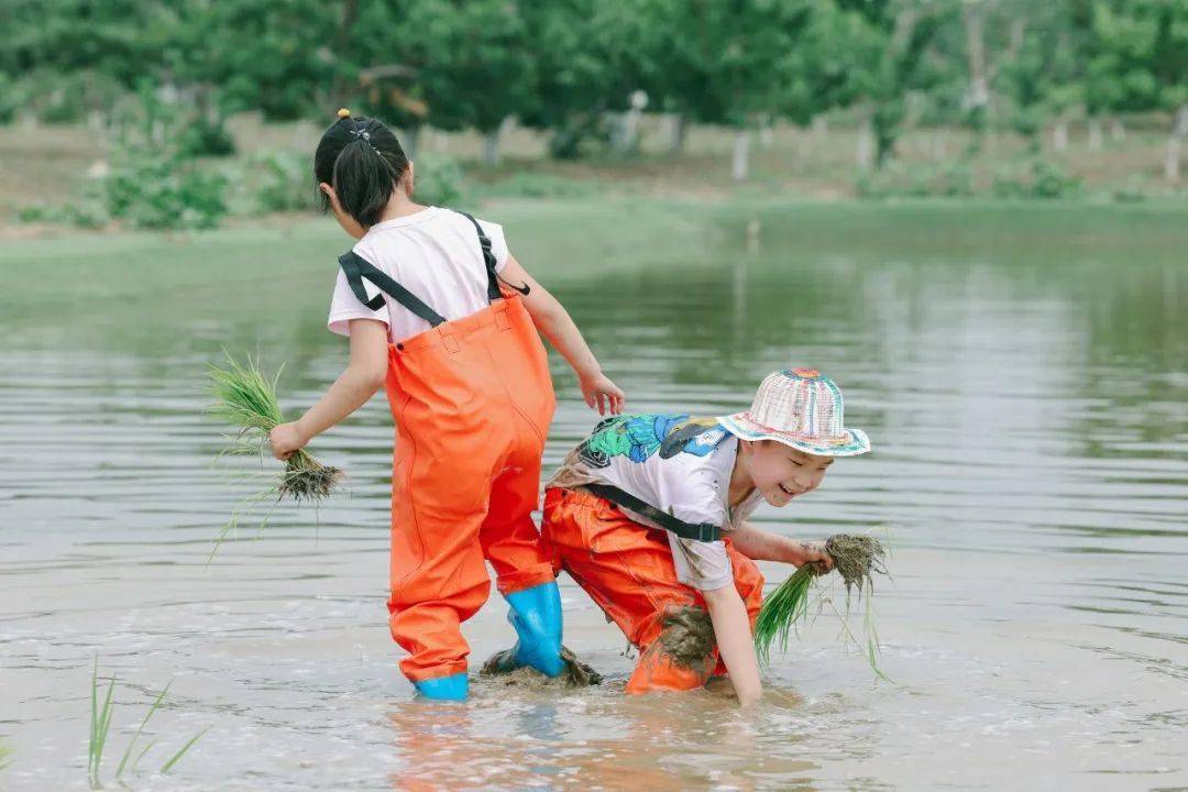 公益時長2h | 半日親子 | 插秧摸魚捉泥鰍,畫草帽做青團_活動_大自然