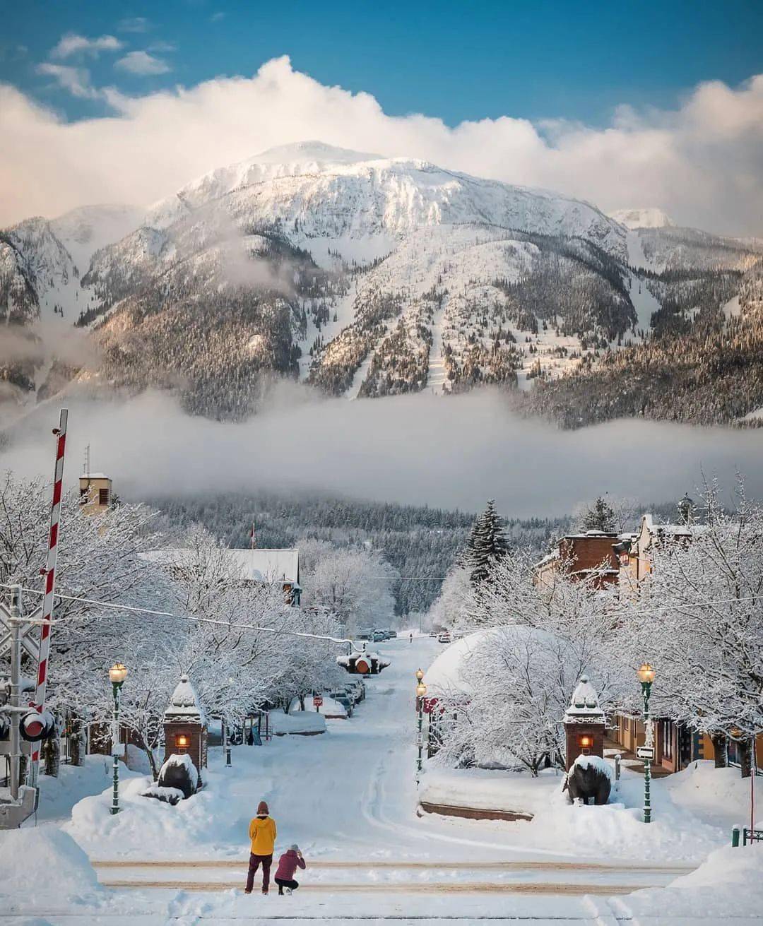 加拿大雪景 冬季图片