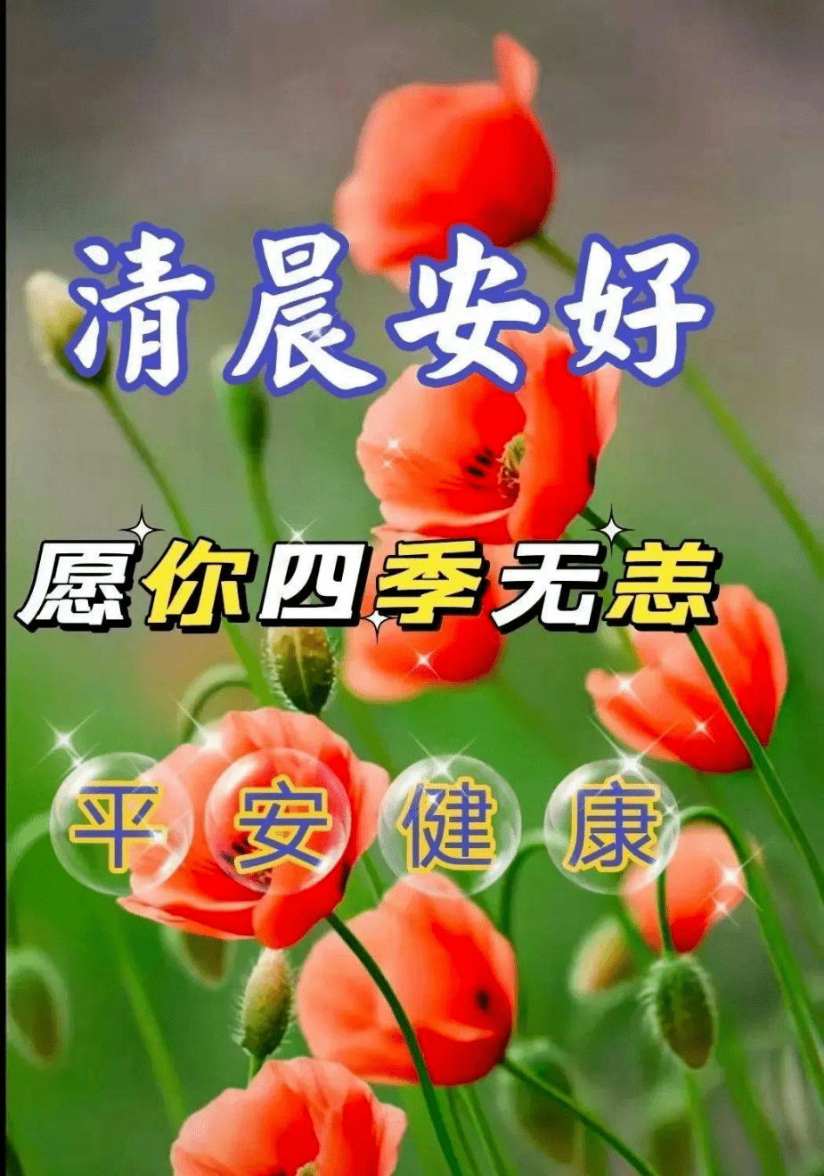 老年朋友早上好,祝您早安舒心愉快_祝福_问候_人生